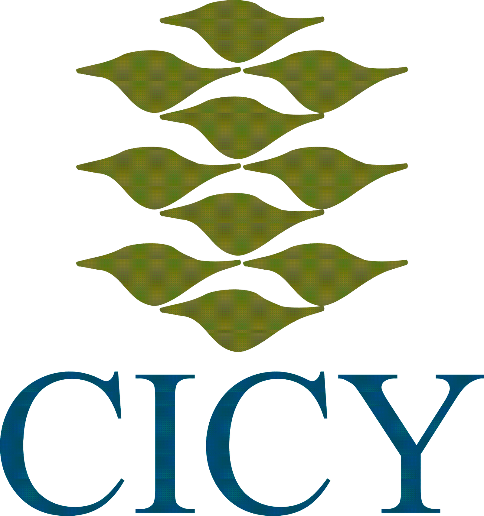 CICY